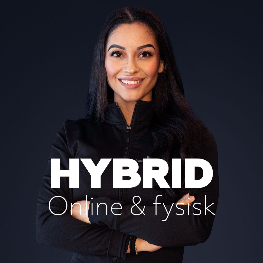 Hybrid Online coaching + PT
